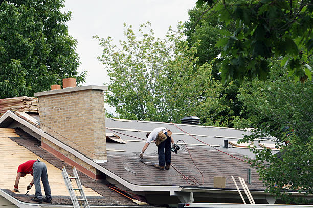 Best Roof Waterproofing Services  in Leo Cedarville, IN