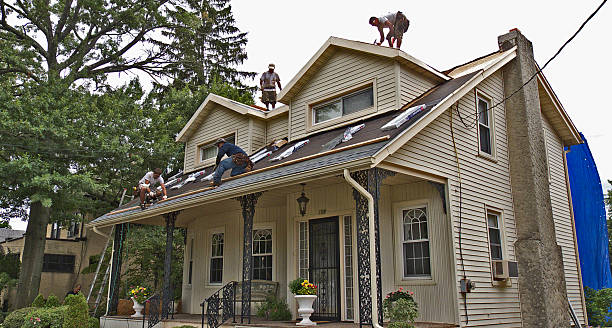 Best Local Roofing Companies  in Leo Cedarville, IN